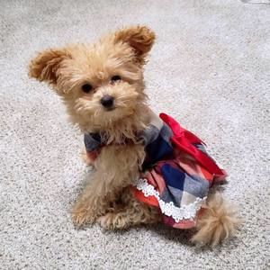 Meet your Posher, Manuela